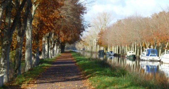 Révisions au monastère